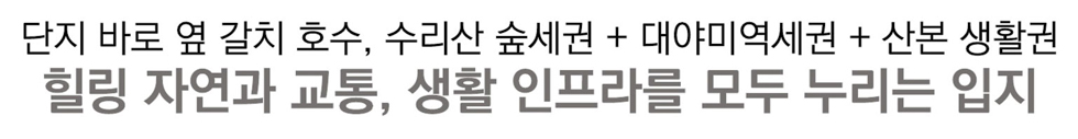 대야미역 금강펜테리움 레이크포레